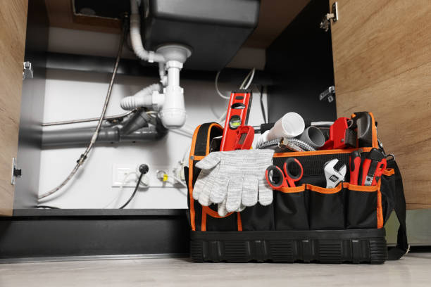 Best 24-Hour Plumber Near Me  in St Leo, FL