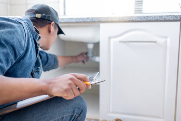 Best Plumbing Services Near Me  in St Leo, FL