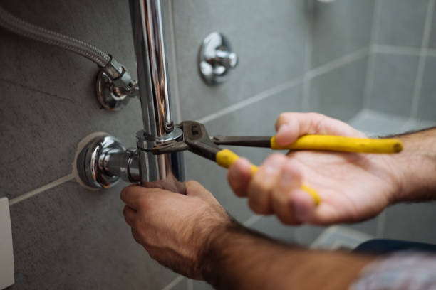 Best Clogged Drain Plumber  in St Leo, FL